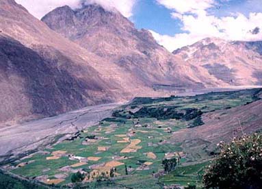 Center Shimshal village, seen from the Adver Glacier's lateral moraine