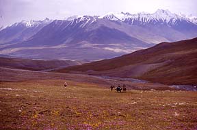 View east from Aqbelis Pass (4,595m)